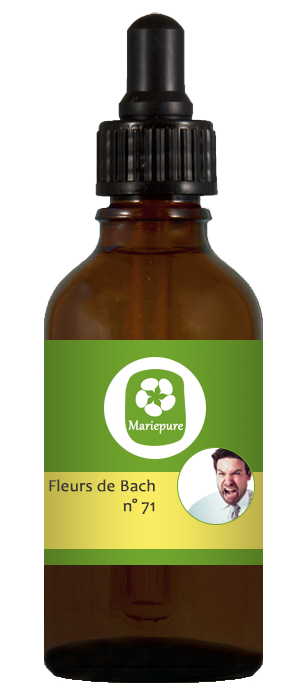 quelle fleur de bach pour le stress